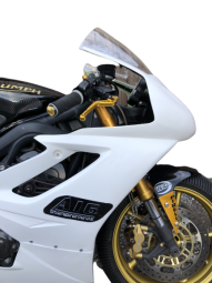Triumph Daytona 675 / 675R Speed Triple 2006-2012<p>A16 Race Fairing</p>