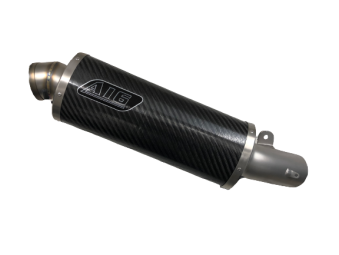 Yamaha YZF R6 2006-2016<p>A16 Carbon Race Exhaust with Titanium Type Flat Bead Spout to fit an Arata Race System</p><p></p><br />